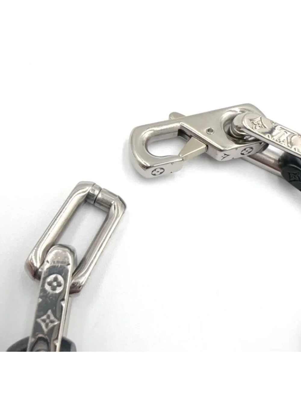 Louis Vuitton brand louis